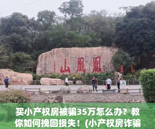 买小产权房被骗35万怎么办？教你如何挽回损失！(小产权房诈骗如何立案)