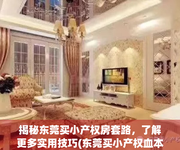 揭秘东莞买小产权房套路，了解更多实用技巧(东莞买小产权血本无归)