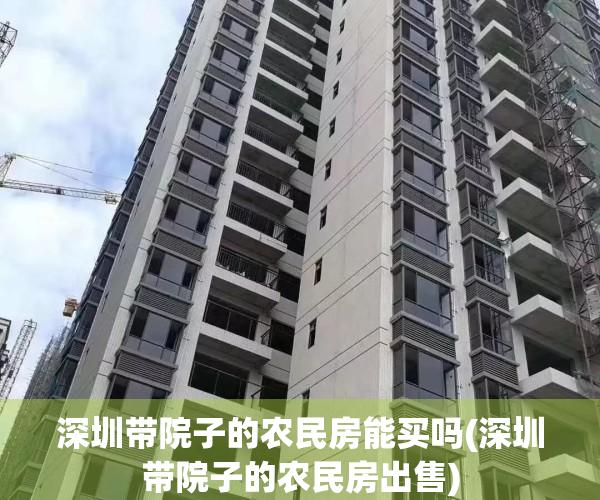 深圳带院子的农民房能买吗(深圳带院子的农民房出售)