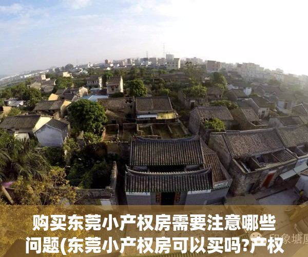 购买东莞小产权房需要注意哪些问题(东莞小产权房可以买吗?产权房)