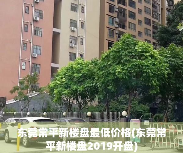 东莞常平新楼盘最低价格(东莞常平新楼盘2019开盘)