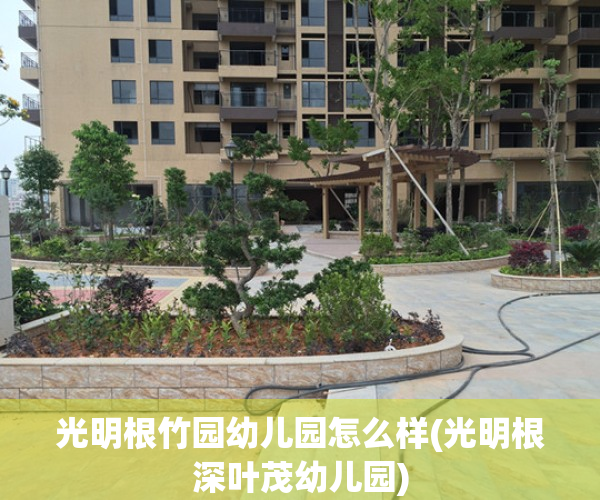光明根竹园幼儿园怎么样(光明根深叶茂幼儿园)