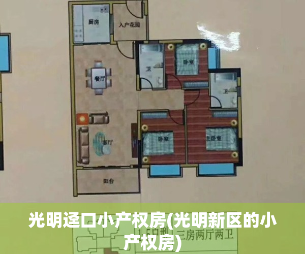 光明迳口小产权房(光明新区的小产权房)