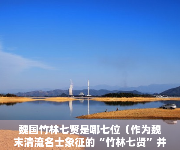 魏国竹林七贤是哪七位（作为魏末清流名士象征的“竹林七贤”并非历史实录吗？）