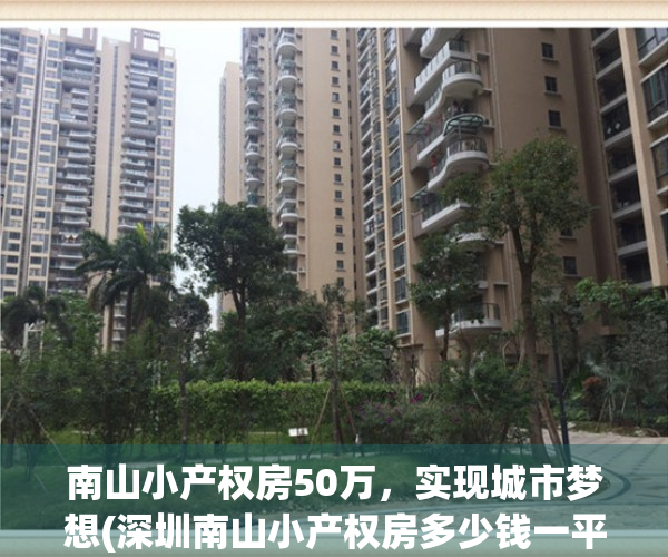 南山小产权房50万，实现城市梦想(深圳南山小产权房多少钱一平方)
