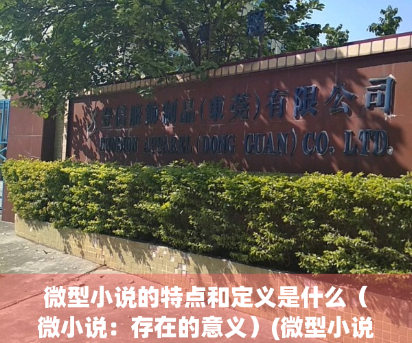 微型小说的特点和定义是什么（微小说：存在的意义）(微型小说的例文)