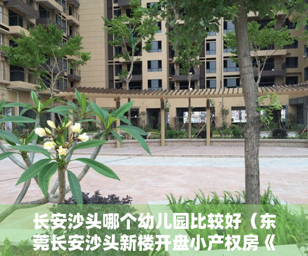长安沙头哪个幼儿园比较好（东莞长安沙头新楼开盘小产权房《学府三号》户型超靓，朝南两房34万起，分期8年）