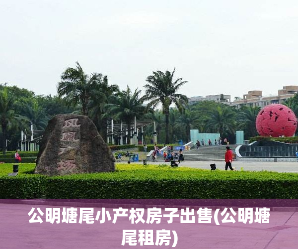 公明塘尾小产权房子出售(公明塘尾租房)