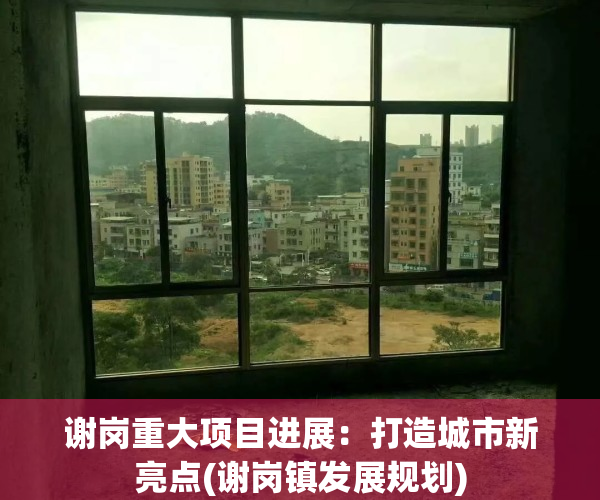 谢岗重大项目进展：打造城市新亮点(谢岗镇发展规划)