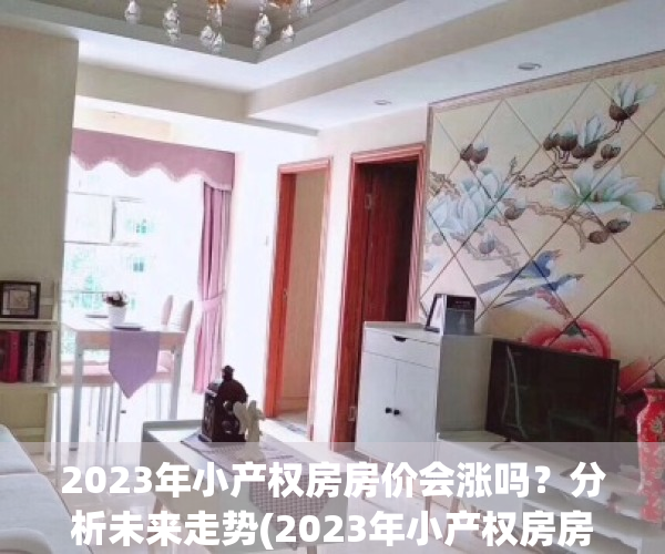 2023年小产权房房价会涨吗？分析未来走势(2023年小产权房房价会涨吗?分析未来走势图)