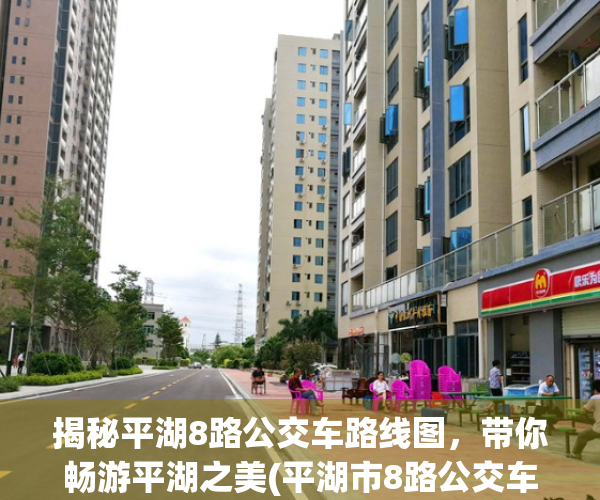 揭秘平湖8路公交车路线图，带你畅游平湖之美(平湖市8路公交车路线)