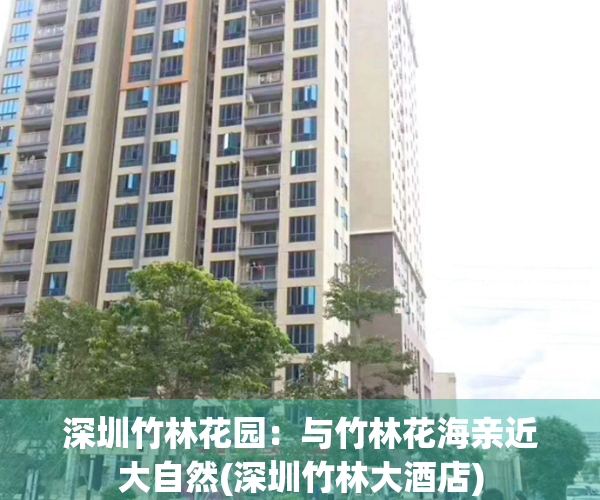 深圳竹林花园：与竹林花海亲近大自然(深圳竹林大酒店)