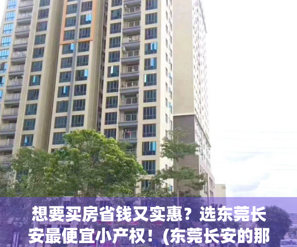 想要买房省钱又实惠？选东莞长安最便宜小产权！(东莞长安的那些小产权可以购买)