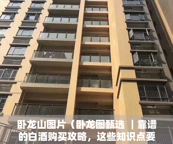 卧龙山图片（卧龙图甄选 ｜靠谱的白酒购买攻略，这些知识点要牢记！）