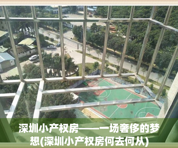 深圳小产权房——一场奢侈的梦想(深圳小产权房何去何从)