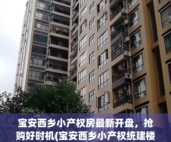 宝安西乡小产权房最新开盘，抢购好时机(宝安西乡小产权统建楼官网)