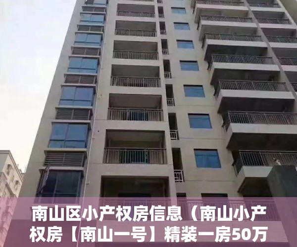 南山区小产权房信息（南山小产权房【南山一号】精装一房50万起 两房150万起 三房190万起 带停车场 首付五成 分期五年）