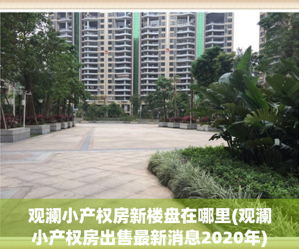 观澜小产权房新楼盘在哪里(观澜小产权房出售最新消息2020年)