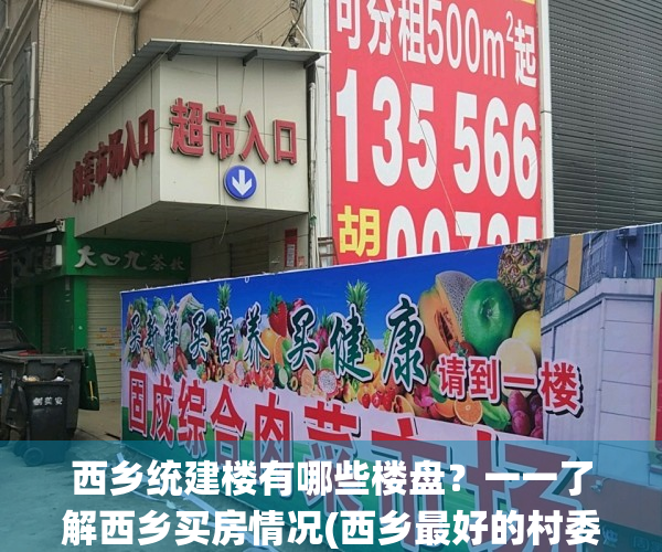 西乡统建楼有哪些楼盘？一一了解西乡买房情况(西乡最好的村委统建楼)