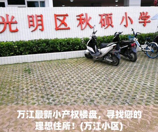 万江最新小产权楼盘，寻找您的理想住所！(万江小区)
