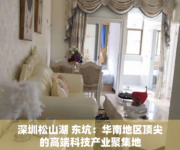 深圳松山湖 东坑：华南地区顶尖的高端科技产业聚集地