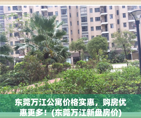 东莞万江公寓价格实惠，购房优惠更多！(东莞万江新盘房价)