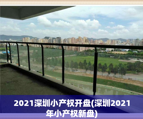 2021深圳小产权开盘(深圳2021年小产权新盘)