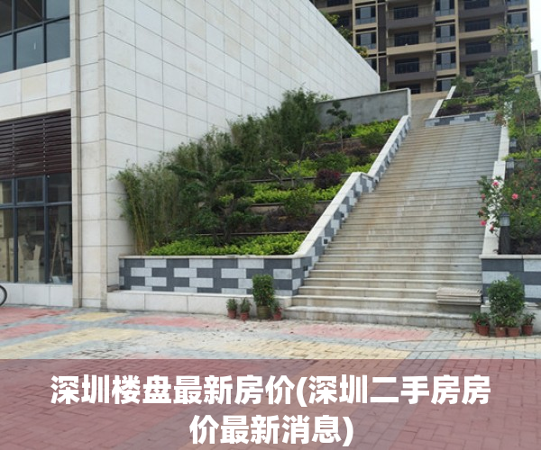 深圳楼盘最新房价(深圳二手房房价最新消息)
