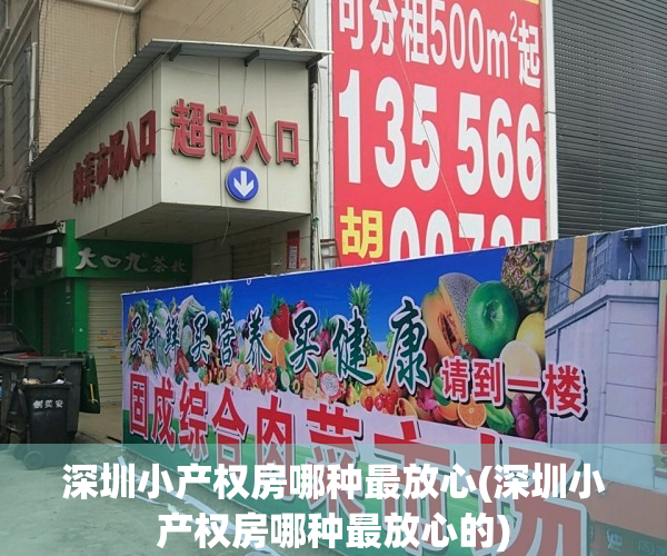 深圳小产权房哪种最放心(深圳小产权房哪种最放心的)