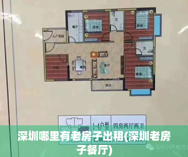 深圳哪里有老房子出租(深圳老房子餐厅)