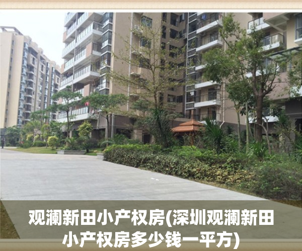 观澜新田小产权房(深圳观澜新田小产权房多少钱一平方)
