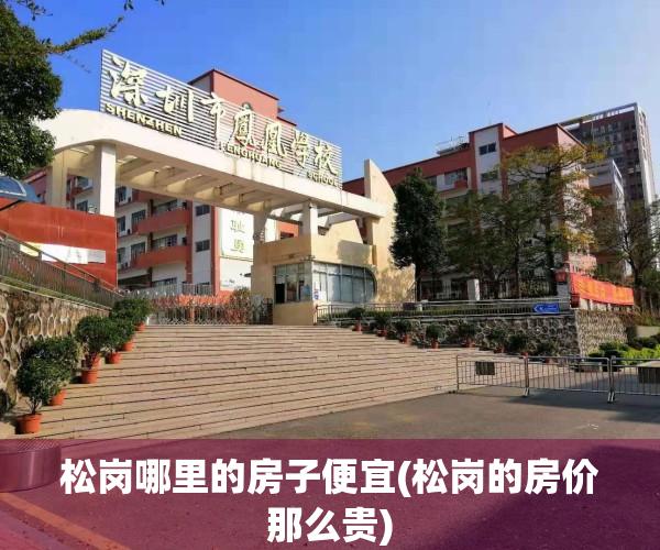 松岗哪里的房子便宜(松岗的房价那么贵)