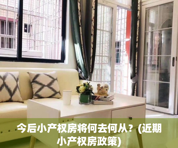 今后小产权房将何去何从？(近期小产权房政策)