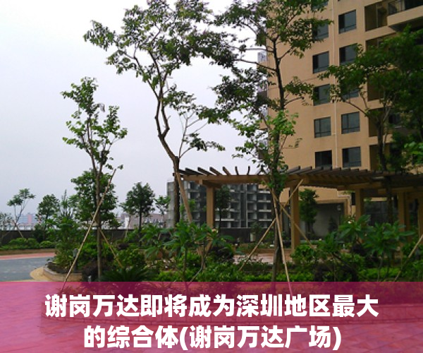 谢岗万达即将成为深圳地区最大的综合体(谢岗万达广场)