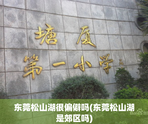 东莞松山湖很偏僻吗(东莞松山湖是郊区吗)