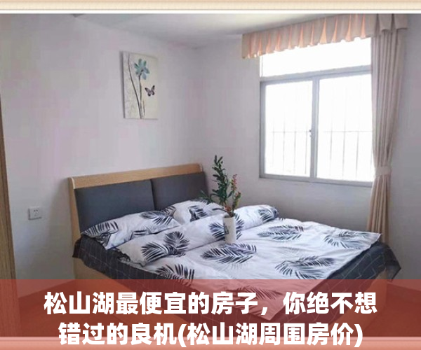 松山湖最便宜的房子，你绝不想错过的良机(松山湖周围房价)