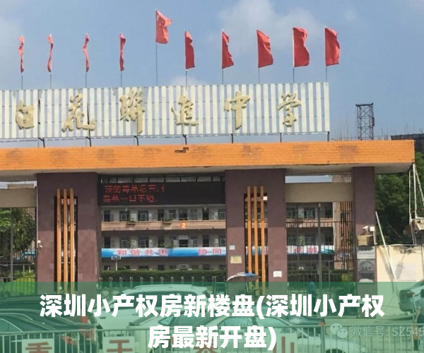 深圳小产权房新楼盘(深圳小产权房最新开盘)