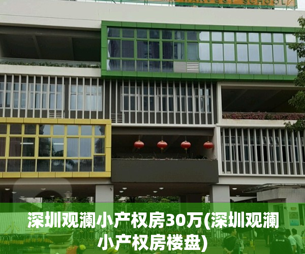 深圳观澜小产权房30万(深圳观澜小产权房楼盘)