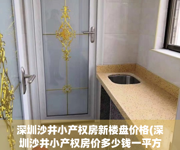 深圳沙井小产权房新楼盘价格(深圳沙井小产权房价多少钱一平方)