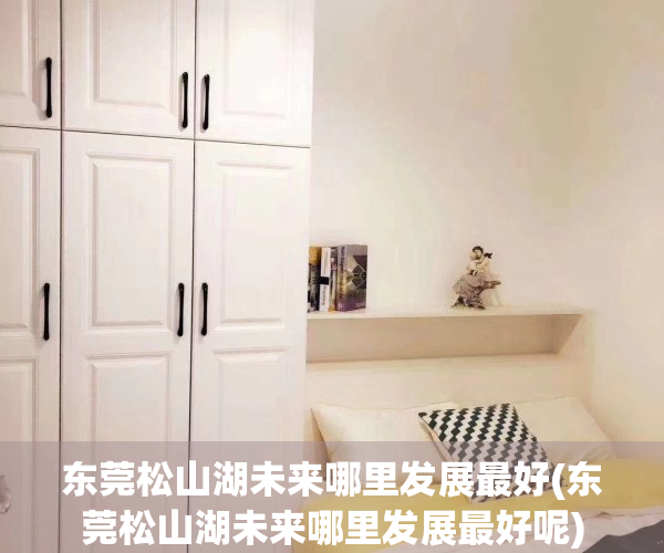 东莞松山湖未来哪里发展最好(东莞松山湖未来哪里发展最好呢)