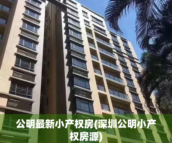 公明最新小产权房(深圳公明小产权房源)