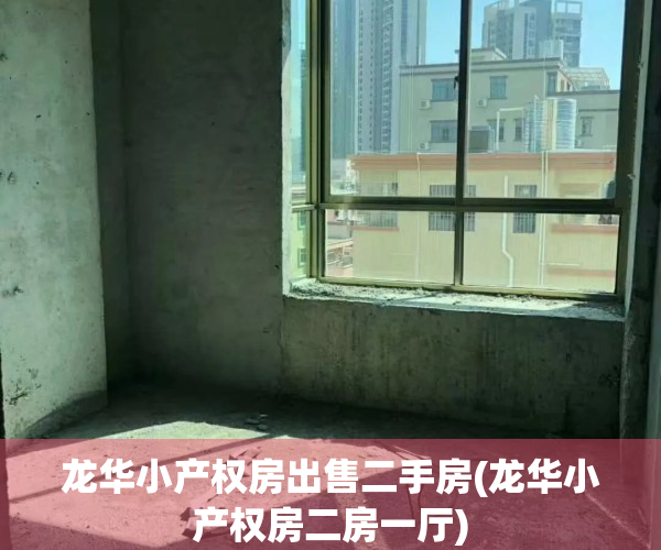 龙华小产权房出售二手房(龙华小产权房二房一厅)