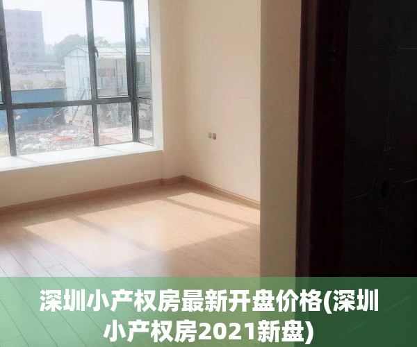 深圳小产权房最新开盘价格(深圳小产权房2021新盘)