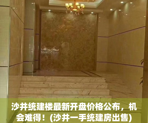沙井统建楼最新开盘价格公布，机会难得！(沙井一手统建房出售)