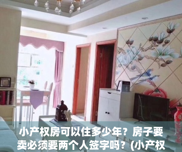 小产权房可以住多少年？房子要卖必须要两个人签字吗？(小产权房能卖出去吗?)