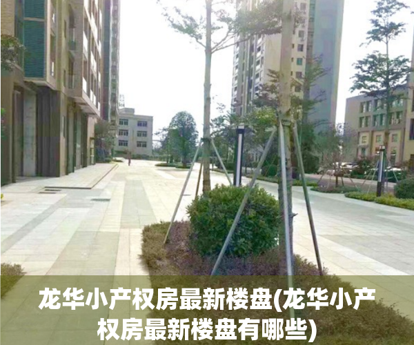 龙华小产权房最新楼盘(龙华小产权房最新楼盘有哪些)