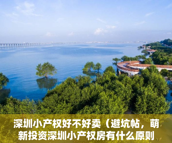 深圳小产权好不好卖（避坑帖，萌新投资深圳小产权房有什么原则和技巧？）