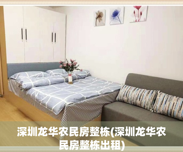 深圳龙华农民房整栋(深圳龙华农民房整栋出租)