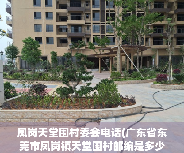 凤岗天堂围村委会电话(广东省东莞市凤岗镇天堂围村邮编是多少)