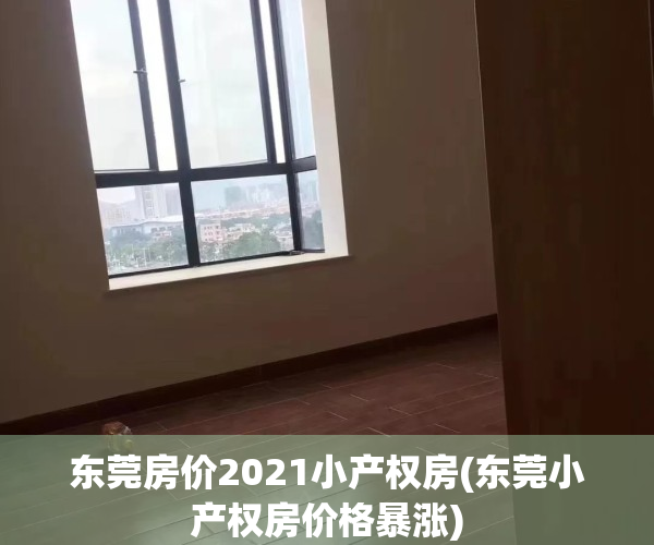 东莞房价2021小产权房(东莞小产权房价格暴涨)